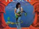 Steve Vai Flex-able: 36th Anniversary Edition (Vinyl) 12