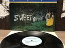 Rare 1977 Robert Ellis Orrall Sweet Nothing Private Label Folk Vinyl Debut Album