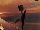 The Pretty Things Parachute (Vinyl) 50th Anniversary  12