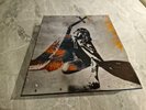 Ozzy Osbourne - Blizzard Of Ozz Diary Of A Madman 30th Anniversary LP/CD Box Set