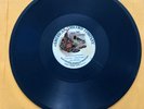 Vintage BLUE American Record Company 78 rpm DOWN WHERE SWEET POTATOES GROW 30802
