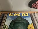 Blink 182 Buddha Orange Vinyl /300 RARE Interpunk Exclusive Sealed FREE SHIPPING