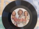 BEE GEES OFFICIAL FANN CLUB PERSONAL MESSAGE RARE 33 1/3 rpm Rock Disco  VG+