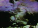 Ministry The Land of Rape and Honey (Vinyl) 12