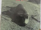 Pearl Jam - Sonic Reducer - 1992 USA Ten Club/Epic p/cover 45 - EX