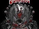 Born to Perish [Vinyl LP] , Destruction