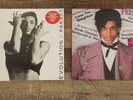 ** PRINCE - Controversy & Parade Vinly 12