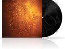OLIVIA RODRIGO Can't Catch Me Now Vinile 7'' Etched Pre Order SOLD OUT