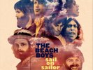 The Beach Boys Sail On Sailor 1972 (Vinyl) Super Deluxe / 5LP