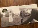 Folklore 7 Inch Vinyl Bundle: RSD the Lakes + Cardigan