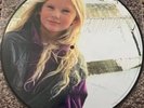 Taylor Swift ‎– Christmas Tree Farm Exclusive Limited Edition Picture Disc Vinyl