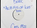 Rare Bjork All Is Full of Love Cass Mix Hand Pressed DJ Vinyl Single Cougar BJI