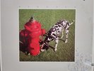 RUSH Signals Polygram Records SRM-1-4063 33 RPM Vinyl LP Near Mint