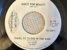 Texas Psych 45 Endel St Cloud - Tell Me One More Time/Quest For Beauty IA