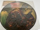 Original Quiet Riot: Metal Health Picture Disc CBS records 1983 Hype Sticker