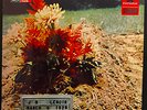 J.B. Lenoir – J.B. Lenoir - USED Vinyl LP