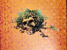 Greatful Dead - The Warner Bros. Studio Albums Vinyl Box Set Exclusive Edition