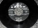FREDDIE SCOTT WITH THE CHIMES 1958 DOOWOP R & B 45RPM PLEASE CALL ARROW #724