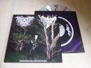 Drowning The Light / Ghosts Of Oceania ‎– Mountain Of Malevolence Clear With LP