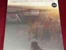 Saves The Day - Stay What You Are - Blue Colored Vinyl LP /300 (the get up kids)