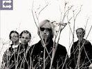 Tom Petty & Heartbreakers Echo (2 Lp's) Records & LPs New