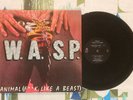 W.A.S.P. 12