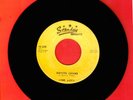 LINK DAVIS SIXTEEN CHICKS ROCKABILLY BOPPER STARDAY 45 RPM RECORD