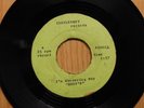 Buoys garage rock Acetate unissued 45 Im Wondering Why bw There Goes My Baby