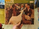THE BEACH BOYS - PET SOUNDS 1966 LA Presing 1st Edition LP CAPITOL MONO T2458