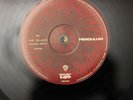 DJ Vinyl drum & Bass House Pendulum The Island
