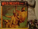 WILD MEXICO VOL. 1 LP/Raw And Rare 60's Mexican Rock 'N' Roll/Garage/Fuzz Punk