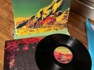 VINTAGE WALL OF VOODOO DARK CONTINENT LP FIRST PRESS IRS SP70022 PROMO NEW WAVE