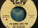 The Intrigues 45 I’m Gonna Love You / I Gotta Find Out For Myself YEW Rare WLP