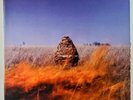 The Maccabees – Given To The Wild 2xLP - Fiction Records – 2787390