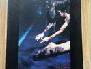 Siouxsie & The Banshees - The Scream Vinyl UK 1978 VG+/VG+