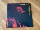 The James Blood Ulmer Blues Experience 