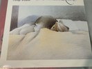 THE VELVETEEN RABBIT / MERYL STREEP & GEORGE WINSTON / 1985 VINYL PLAYS MINT-