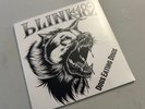 Blink-182 Dogs Eating Dogs 10