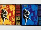 guns n roses use your illusion vinyl 1991 And Book