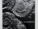 The Sundays - Reading Writing and Arithmetic GREY COLOR VINYL Limited Edition LP