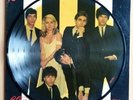 Blondie Parallel Lines. LP In VGC. Picture Disc.. 1978