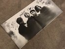 Ride Going Blank Again SIGNED Vinyl Record