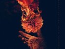 Wolves At The Gate - Eulogies [New LP Vinyl]