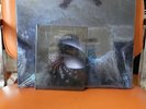 TOOL FEAR INOCULUM LE 5LP BOX SET NEW LP SEALED & EXTENDED BOOK EDITION