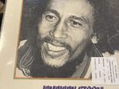 Jamaican Storm LP Bob Marley & The Wailers 1982 Vinyl Accord Records 