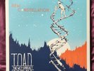Toad The Wet Sprocket - New Constellation - Double Vinyl LP + More - Mint