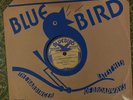 Bluebird 6371 Chicago Rhythm Kings great ROY PALMER  78 rpm  JAZZ 1936  E