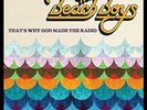 The Beach Boys - That's Why God Made The Radio - 2012 Vinyl unplayed