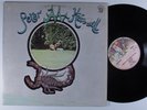 PETER HAMMILL Chameleon In The Shadow Of The Night CHARISMA LP netherlands p