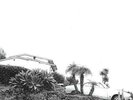 Hot Dreams by Timber Timbre (Record, 2014) NEW VINYL (LP)